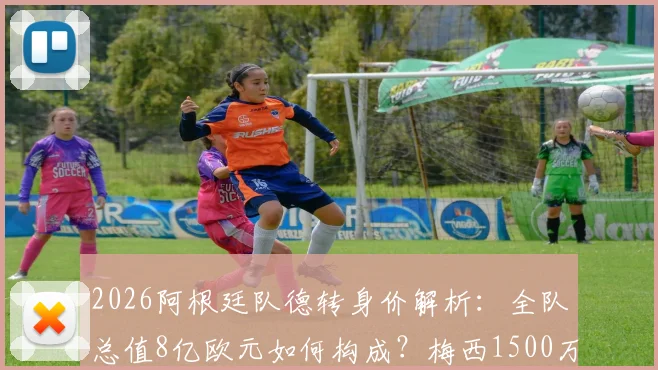 2026阿根廷队德转身价解析：全队总值8亿欧元如何构成？梅西1500万欧元原因探究