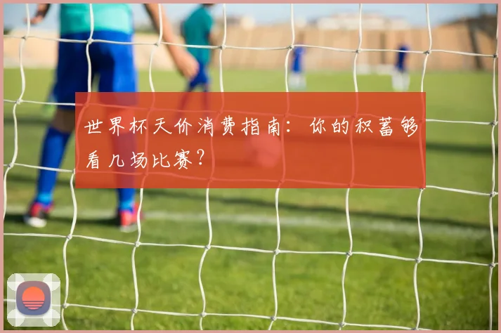 世界杯天价消费指南：你的积蓄够看几场比赛？